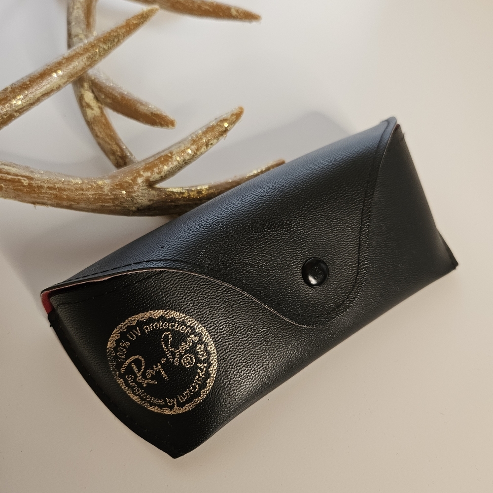 Ray-Ban black and red sunglasses case